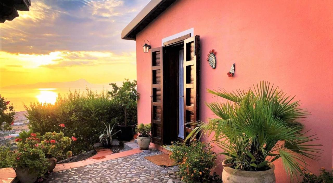 Farm stay Nappi - Azienda Agricola Piano Delle Vigne *