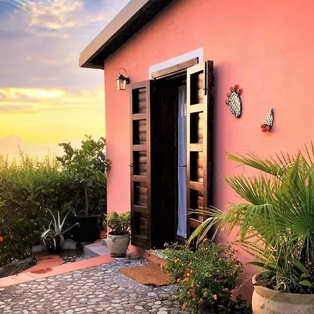 Agriturismo Nappi - Azienda Agricola Piano Delle Vigne Praia a Mare Exterior photo
