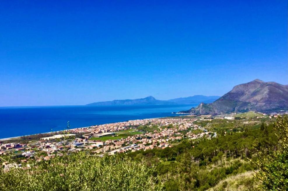 Nappi - Azienda Agricola Piano Delle Vigne Praia a Mare