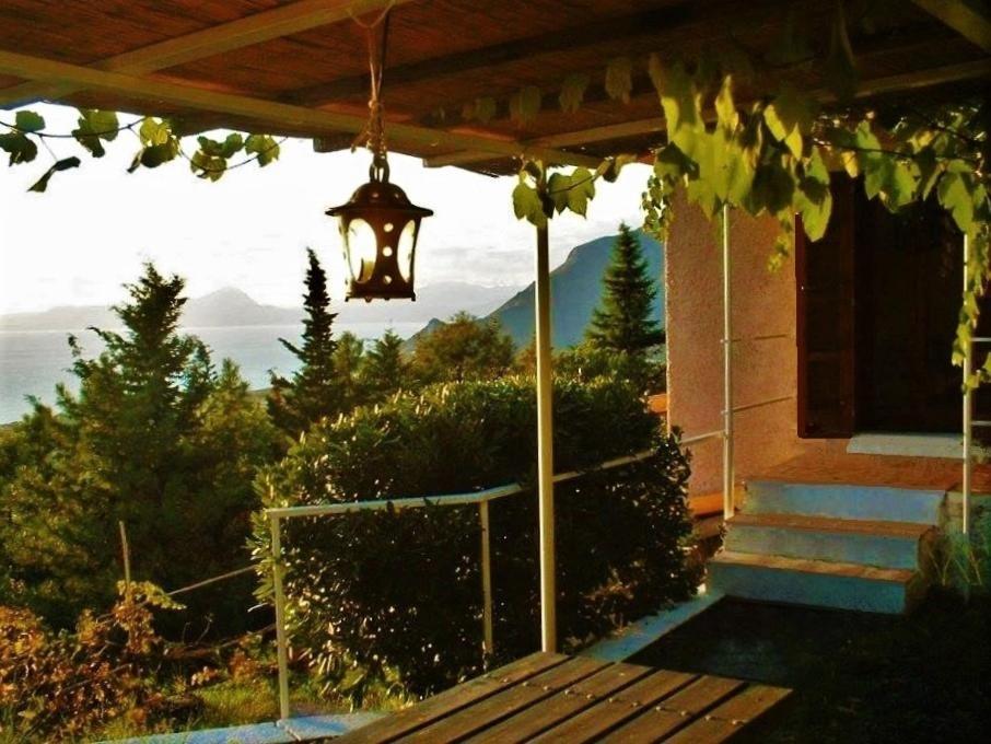 Nappi - Azienda Agricola Piano Delle Vigne Farm stay Praia a Mare