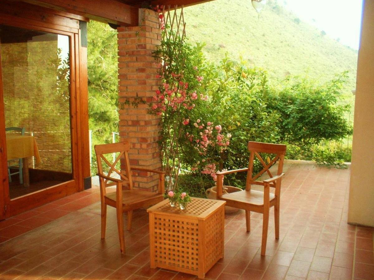 Nappi - Azienda Agricola Piano Delle Vigne