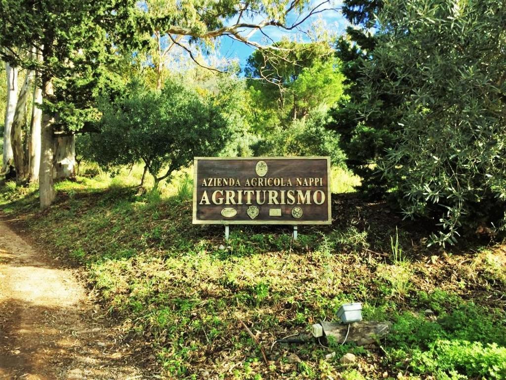 Nappi - Azienda Agricola Piano Delle Vigne