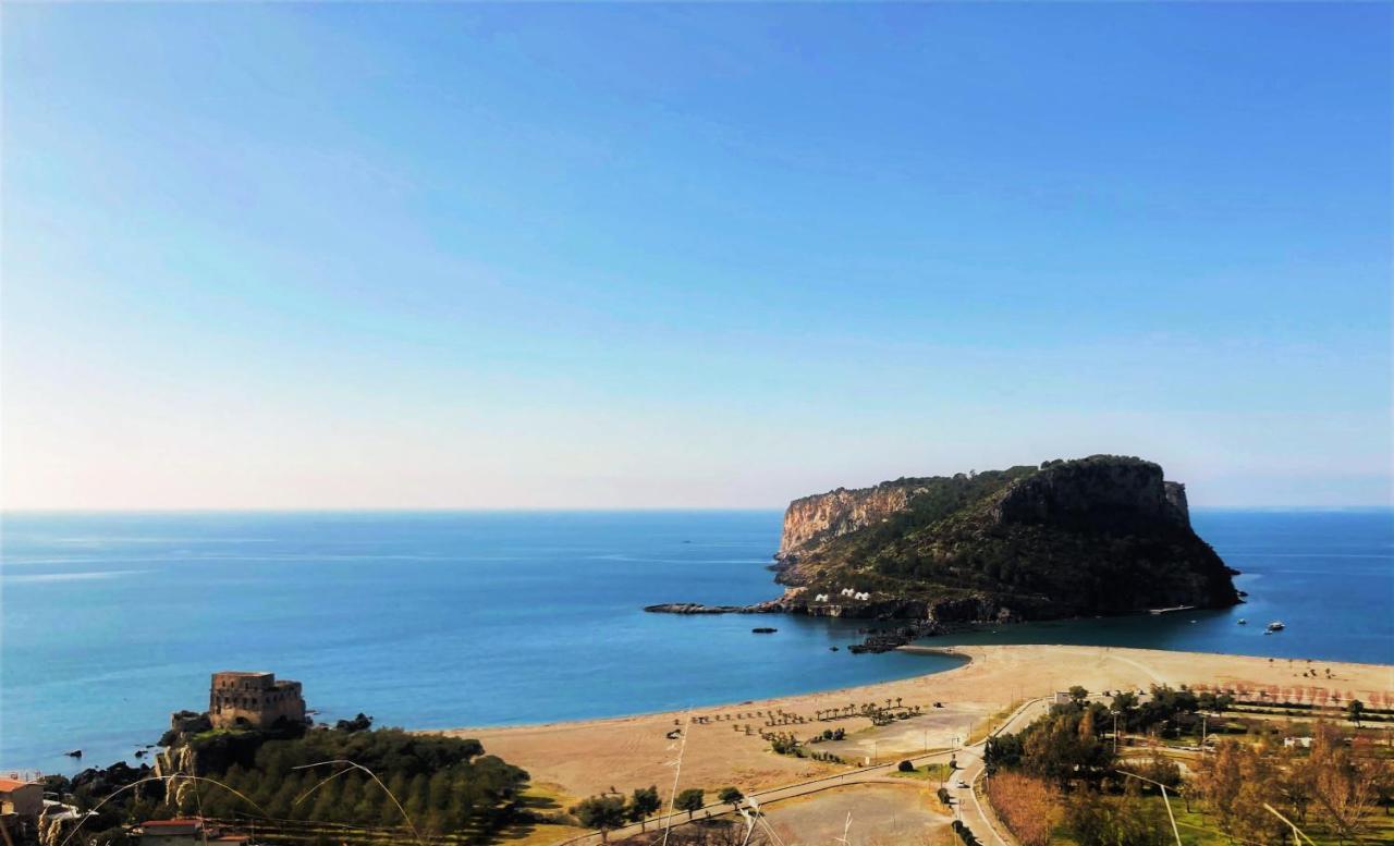 Nappi - Azienda Agricola Piano Delle Vigne Praia a Mare