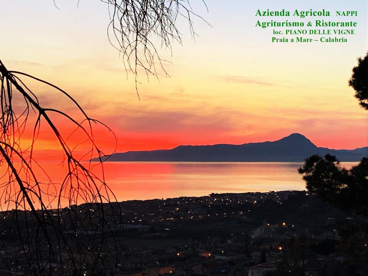 Nappi - Azienda Agricola Piano Delle Vigne Farm stay Praia a Mare