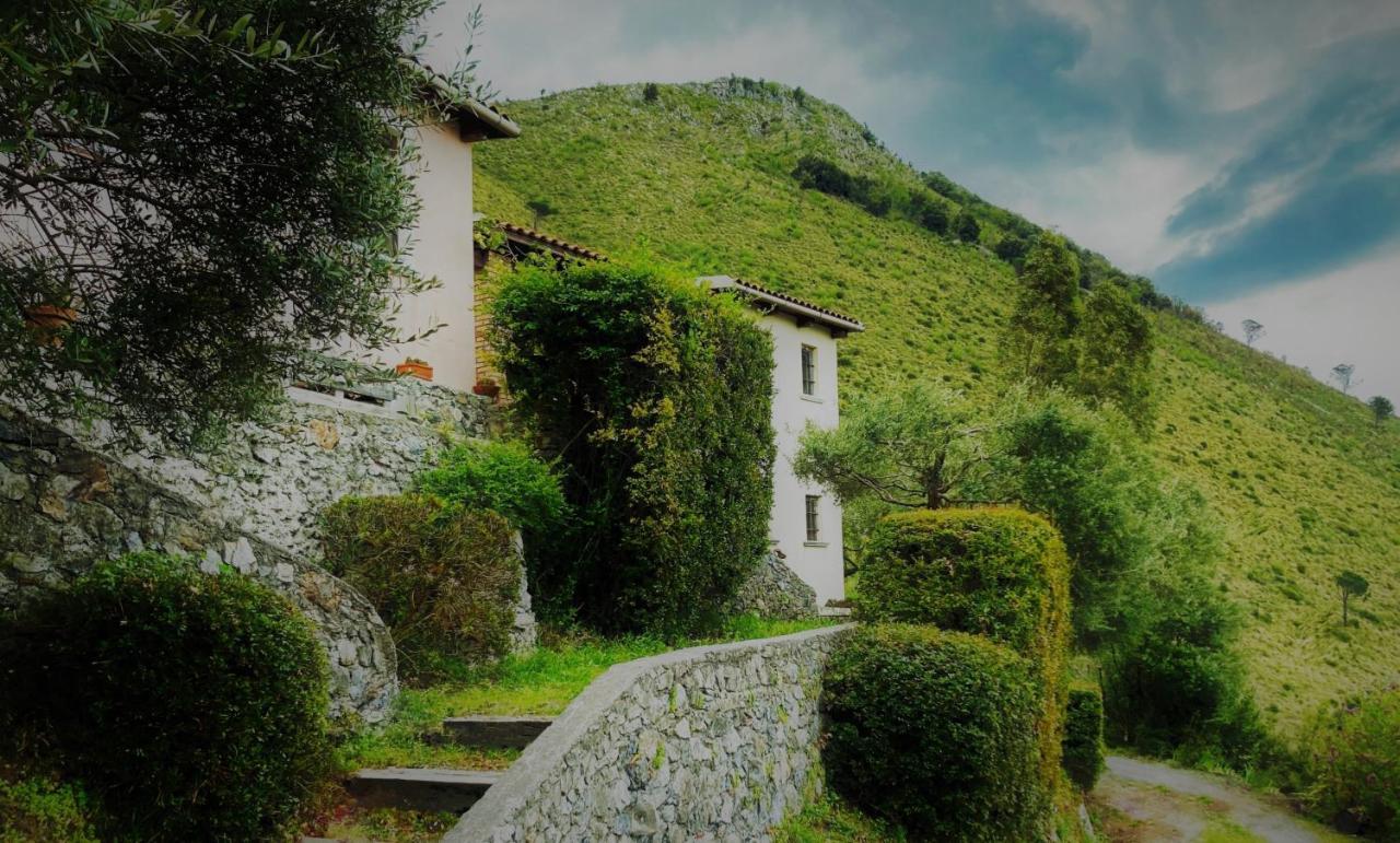 Farm stay Nappi - Azienda Agricola Piano Delle Vigne Praia a Mare