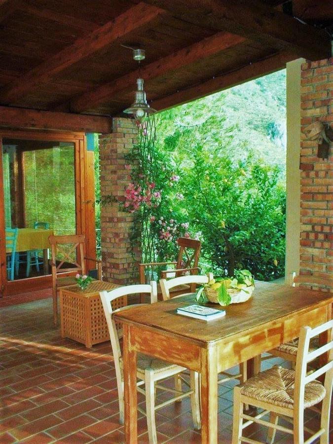 Nappi - Azienda Agricola Piano Delle Vigne * Praia a Mare