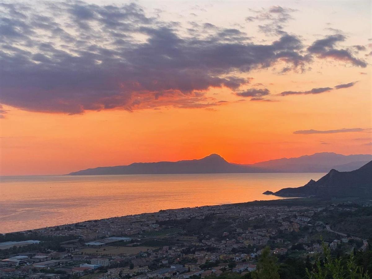 Nappi - Azienda Agricola Piano Delle Vigne Praia a Mare