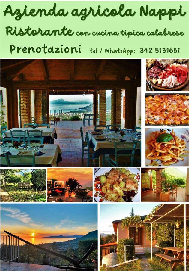 Nappi - Azienda Agricola Piano Delle Vigne Farm stay