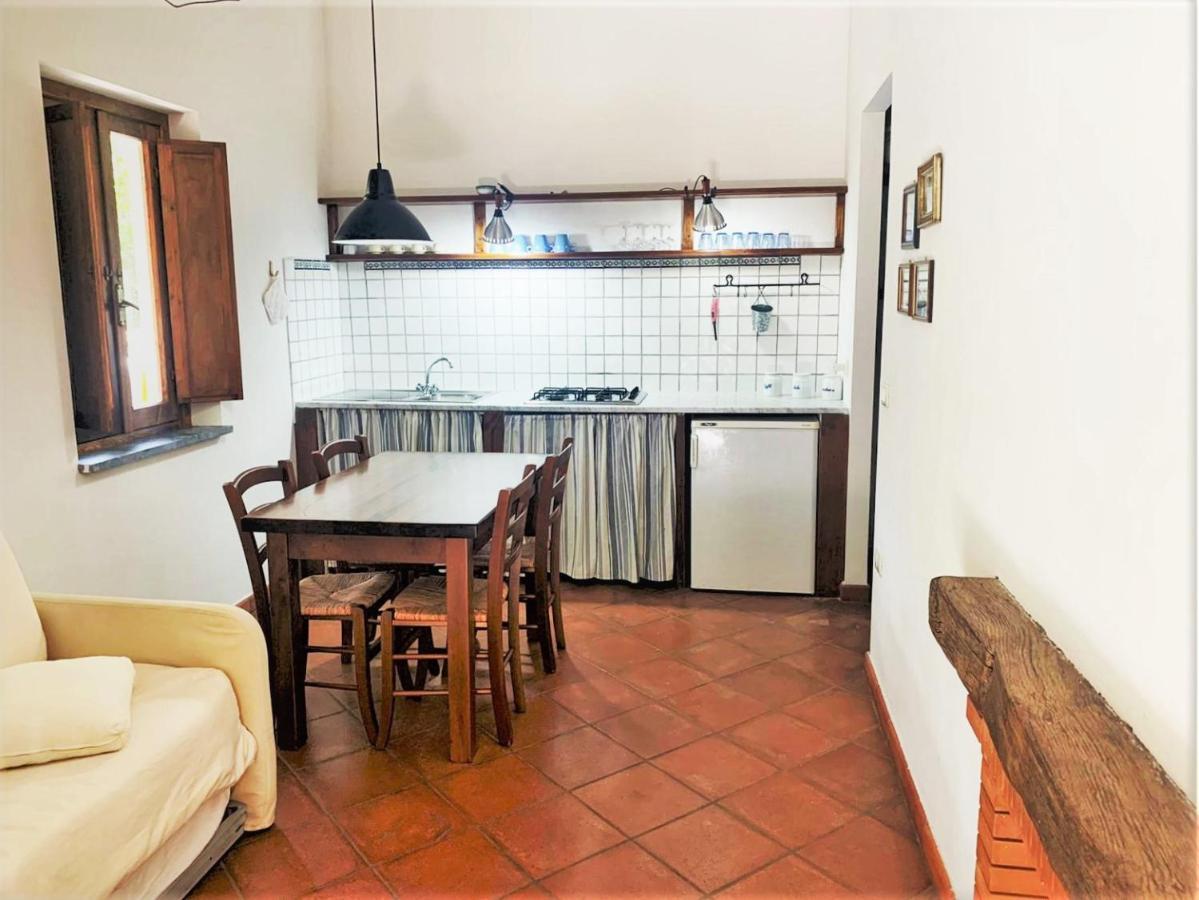 Nappi - Azienda Agricola Piano Delle Vigne *