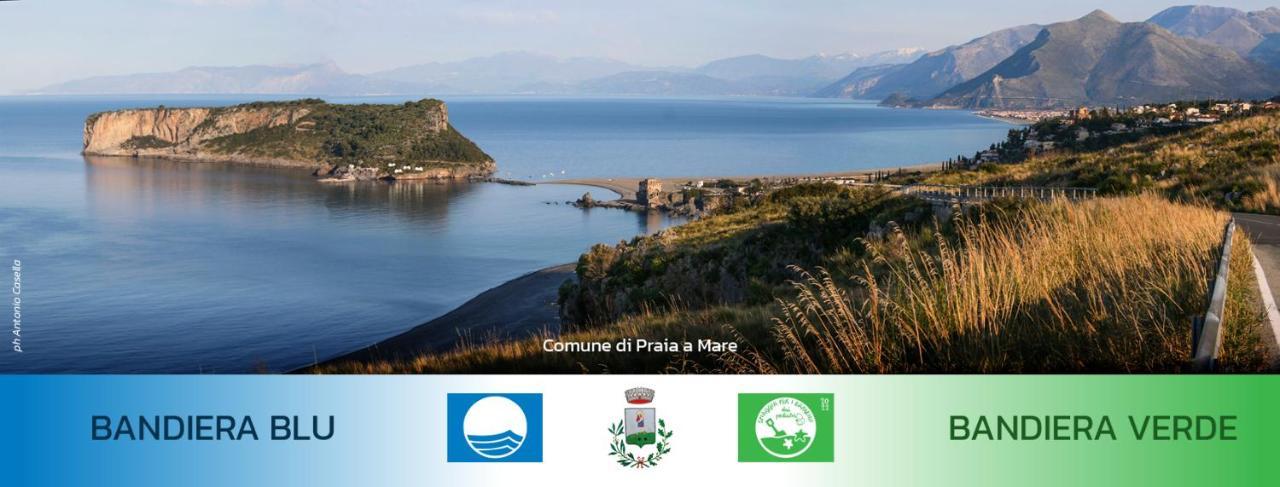 Nappi - Azienda Agricola Piano Delle Vigne Praia a Mare