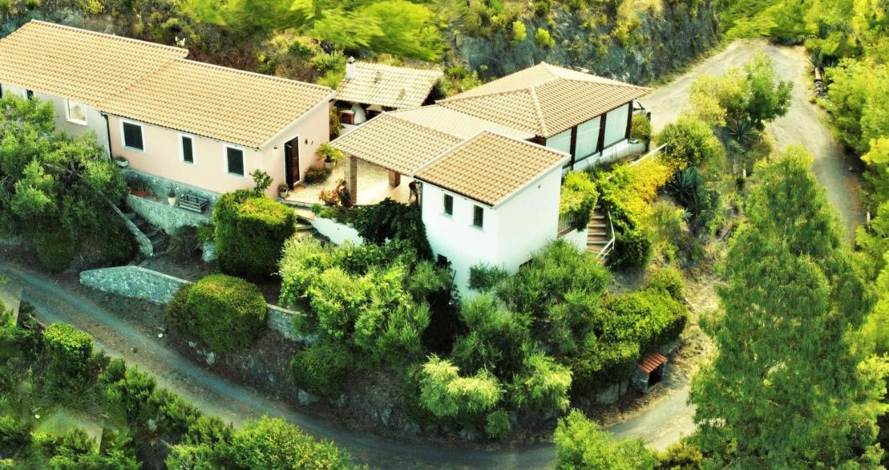 Farm stay Nappi - Azienda Agricola Piano Delle Vigne *